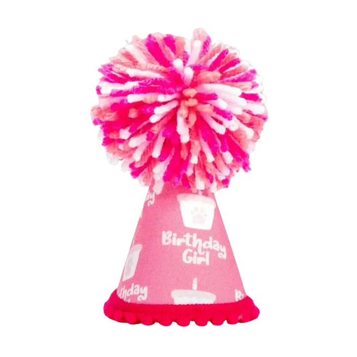 Pup Party Hats – Barkday Girl Hat | Handcrafted Dog Birthday Party Hat