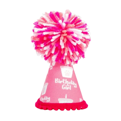 Pup Party Hats – Barkday Girl Hat | Handcrafted Dog Birthday Party Hat