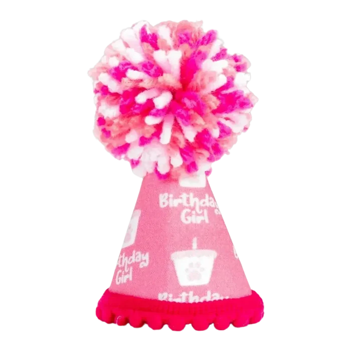 Pup Party Hats – Barkday Girl Hat | Handcrafted Dog Birthday Party Hat