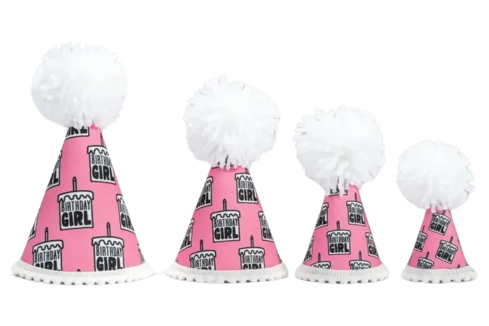 Pup Party Hats – Birthday Girl Black Ink Dog Hat | Handcrafted Party Hat