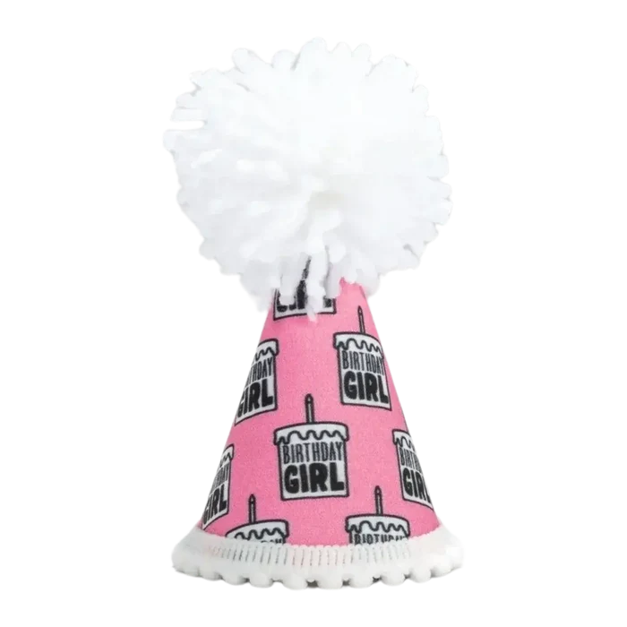 Pup Party Hats – Birthday Girl Black Ink Dog Hat | Handcrafted Party Hat