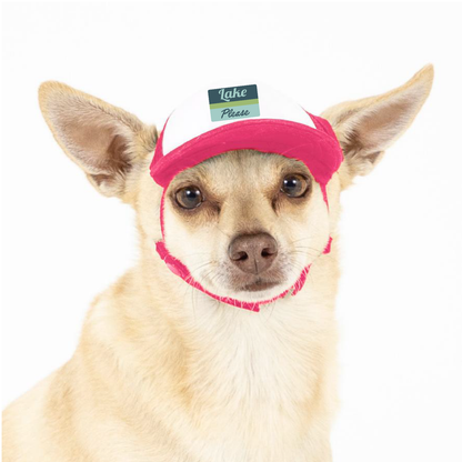 PupLid - Lake Please Standard or Namedrop l Trucker Hat for Dogs - Dog.Dog.Cat.