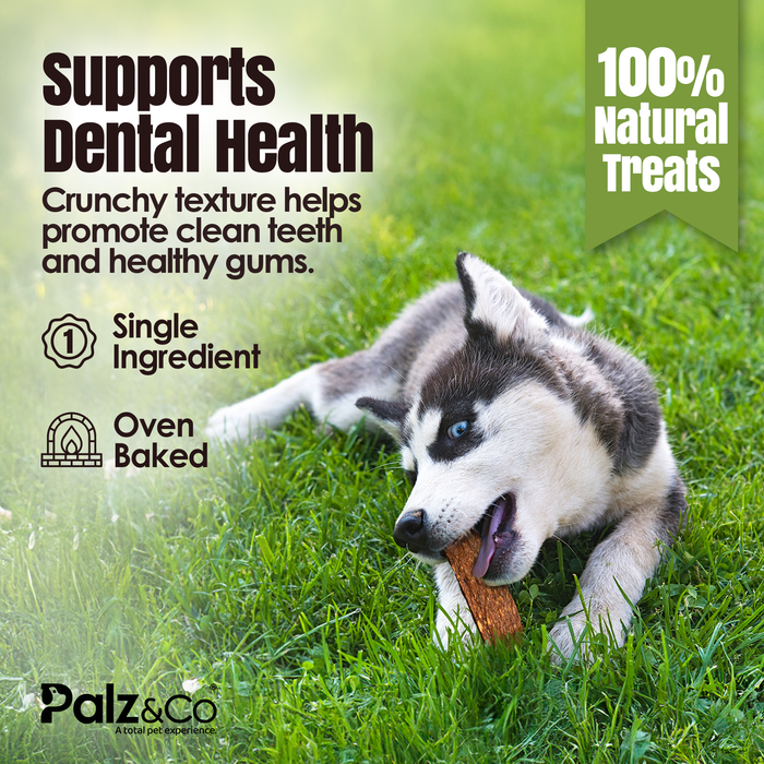 Palz&Co - Rabbitdog Rabbit Jerky - Pack of 10 - Dog.Dog.Cat.