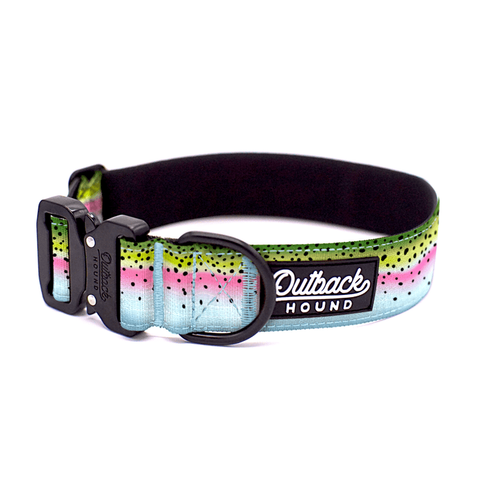 Rainbow Trout Dog Collar by Outback Hound