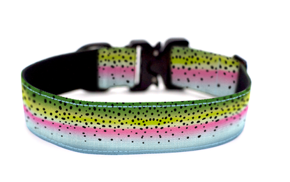 Rainbow Trout Dog Collar by Outback Hound