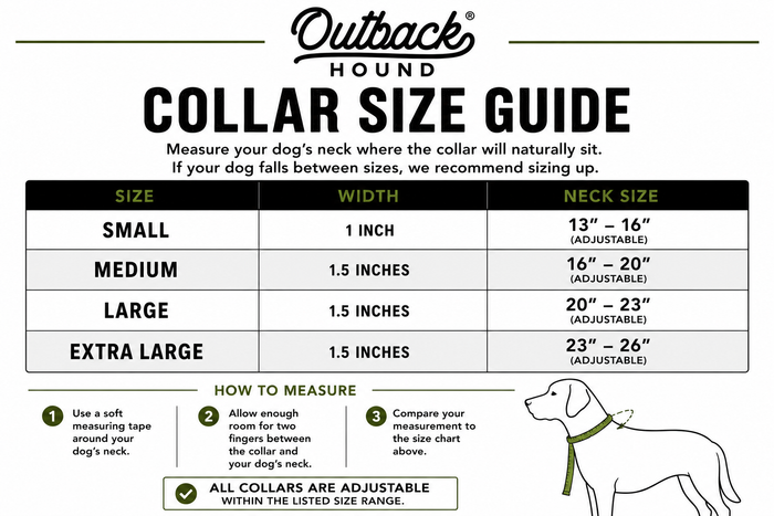 Rainbow Trout Dog Collar by Outback Hound