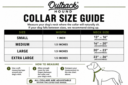 Rainbow Trout Dog Collar by Outback Hound