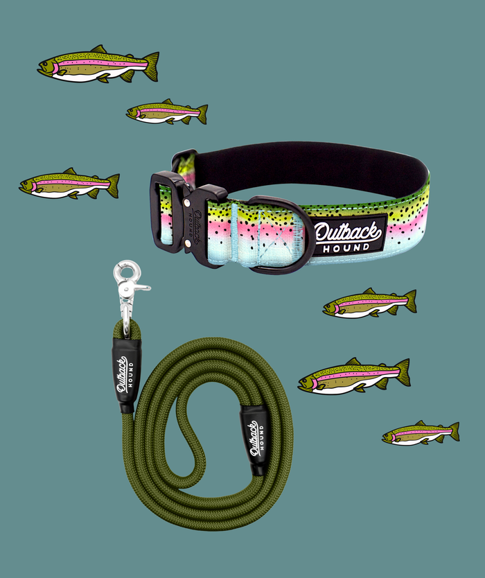 Rainbow Trout Dog Collar by Outback Hound