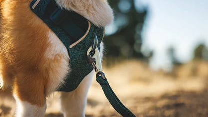 Ruffwear Front Range Flex Leash - Dog.Dog.Cat.