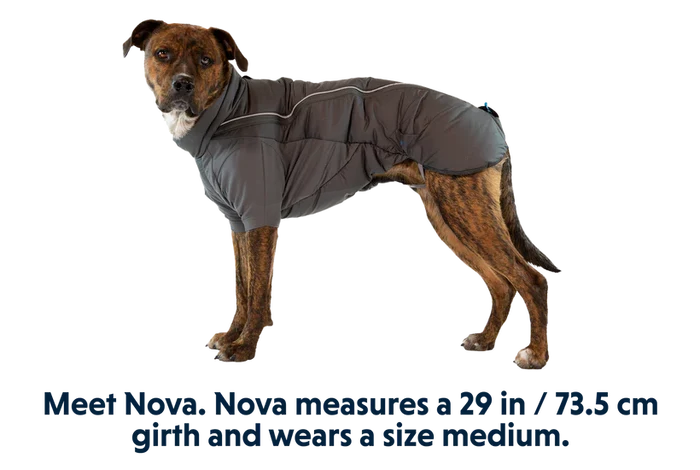 Ruffwear Furness Dog Jacket - Insulated Weatherproof Coat for Dogs, Outdoor Use - Dog.Dog.Cat.