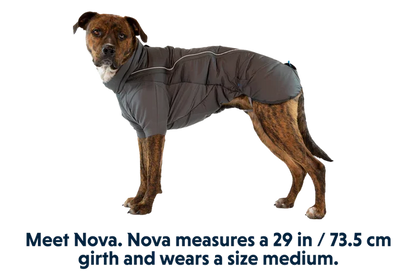Ruffwear Furness Dog Jacket - Insulated Weatherproof Coat for Dogs, Outdoor Use - Dog.Dog.Cat.