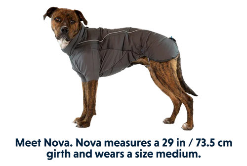 Ruffwear Furness Dog Jacket - Insulated Weatherproof Coat for Dogs, Outdoor Use - Dog.Dog.Cat.