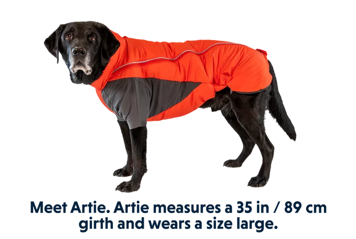 Ruffwear Furness Dog Jacket - Insulated Weatherproof Coat for Dogs, Outdoor Use - Dog.Dog.Cat.