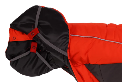 Ruffwear Furness Dog Jacket - Insulated Weatherproof Coat for Dogs, Outdoor Use - Dog.Dog.Cat.