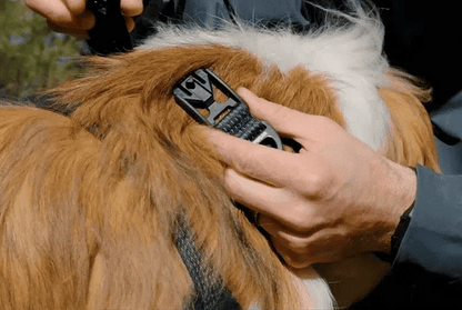 Ruffwear Ridgeline™ Collar – Obsidian Black - Dog.Dog.Cat.