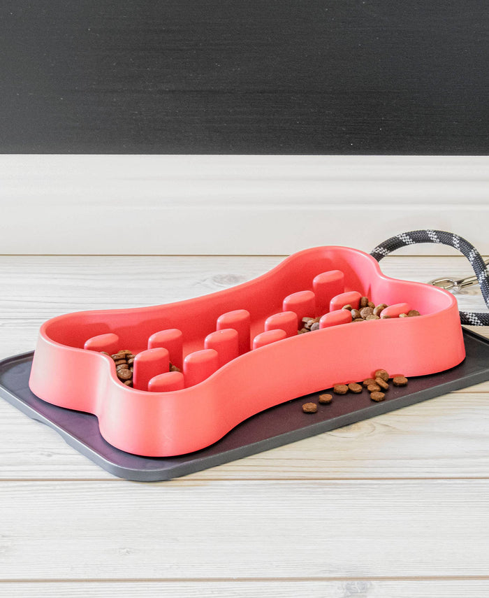 Slow Chow™ Bone Feeder by TarHong