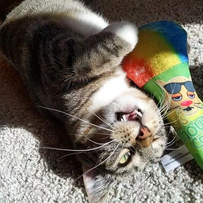 SmarterPaw | Meowijuana & Doggijuana - Meowijuana® Get Chilled Snow Cone Refillable Cat Toy - Dog.Dog.Cat.