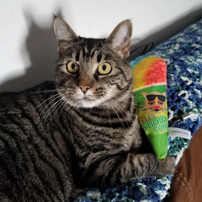 SmarterPaw | Meowijuana & Doggijuana - Meowijuana® Get Chilled Snow Cone Refillable Cat Toy - Dog.Dog.Cat.