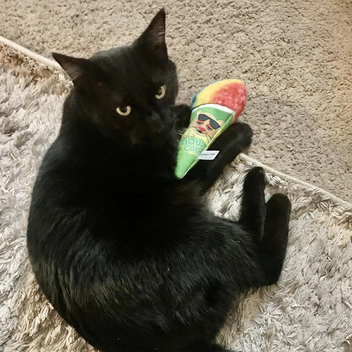 SmarterPaw | Meowijuana & Doggijuana - Meowijuana® Get Chilled Snow Cone Refillable Cat Toy - Dog.Dog.Cat.