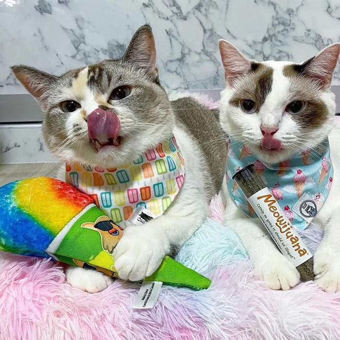 SmarterPaw | Meowijuana & Doggijuana - Meowijuana® Get Chilled Snow Cone Refillable Cat Toy - Dog.Dog.Cat.