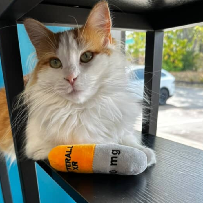 Smokey's Stash - Catterall Catnip Filled Mini Kicker Toys (4 in a pack)
