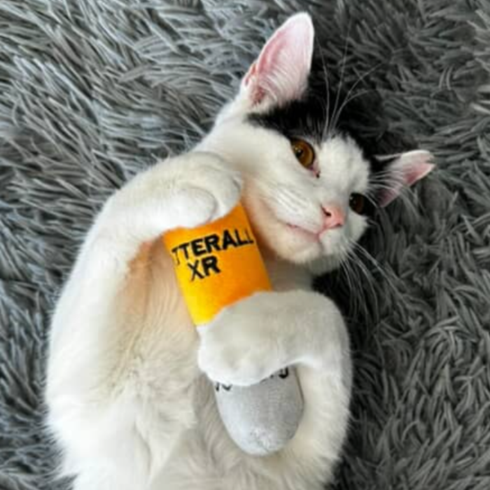 Smokey's Stash - Catterall Catnip Filled Mini Kicker Toys (4 in a pack)