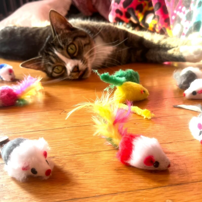 Smokey's Stash - Multi Color Faux Fur Cat Mice Toys (12-Pack)