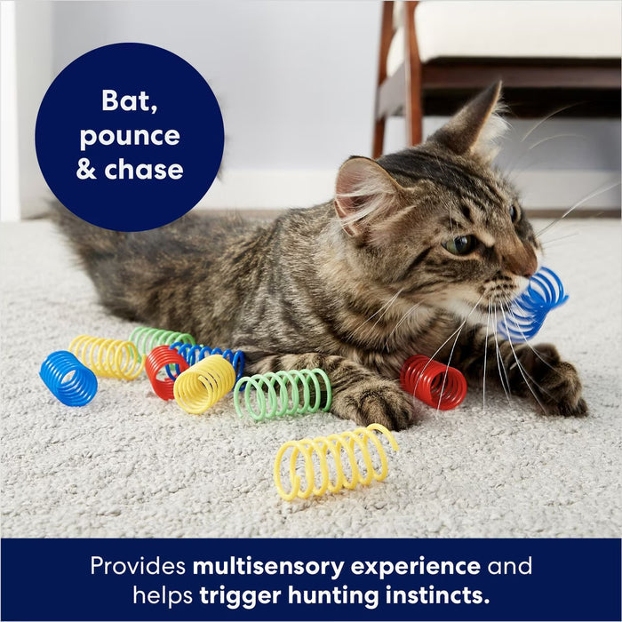 SPOT Colorful Springs Thin Cat Toy 10-Pack