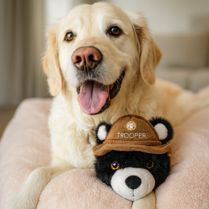STEELDOG Ruffian Hero Trooper Dog Toy