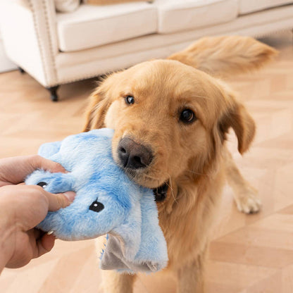 Tall Tails - Animated Manta Ray Dog Toy