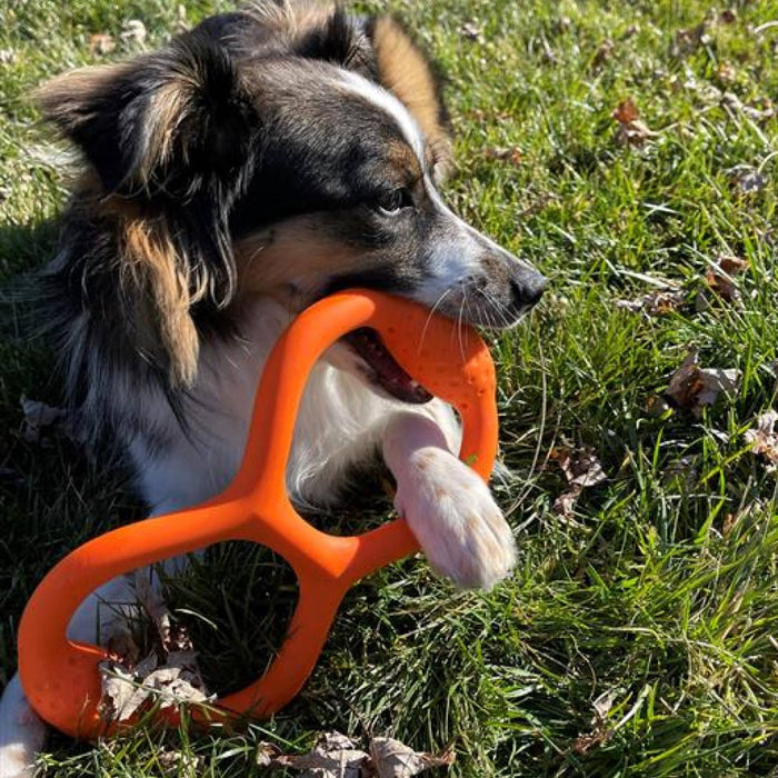 Tall Tails - GOAT Natural Rubber Tug Dog Toy - Dog.Dog.Cat.