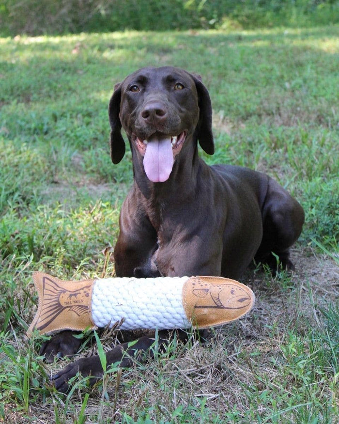 Tall Tails - Natural Leather Trout Rope Tug Dog Toy - 15" - Dog.Dog.Cat.