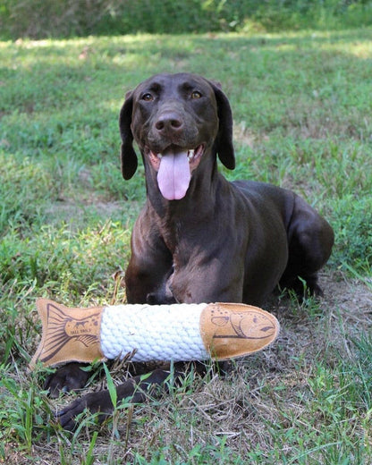 Tall Tails - Natural Leather Trout Rope Tug Dog Toy - 15" - Dog.Dog.Cat.