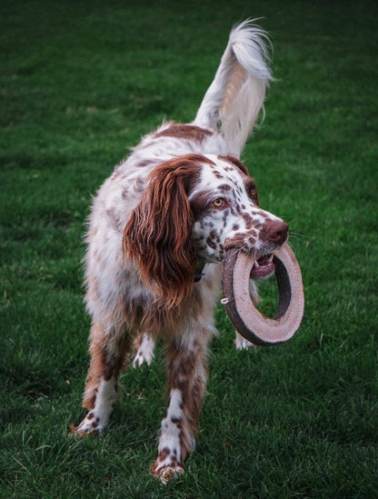 Tall Tails - Tall Tails Natural Leather & Wool Ring Toy - 7" - Dog.Dog.Cat.