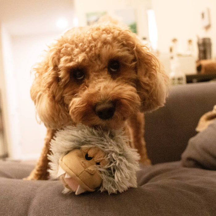 Tall Tails - Yeti 2-in-1 Fetch Ball Dog Toy - Dog.Dog.Cat.