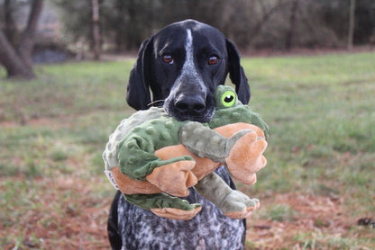 Tall Tails Animated Frog Dog Toy – 9" Plush Squeaker - Dog.Dog.Cat.