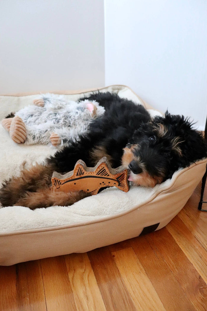 Tall Tails Natural Leather Trout Tug Dog Toy – 16" - Dog.Dog.Cat.