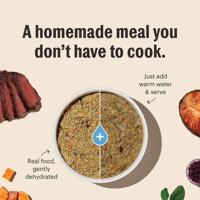 The Honest Kitchen Wholemade Fish & Oats Dehydrated Dog Food (4 lb) - Dog.Dog.Cat.