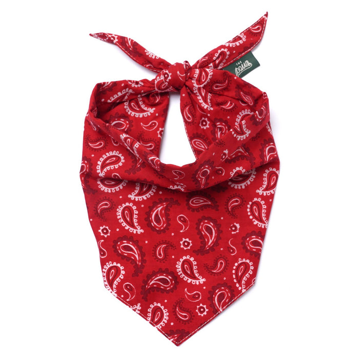The Paws Dallas Dog Bandana – Red Paisley | 100% Cotton, Handmade in Bali