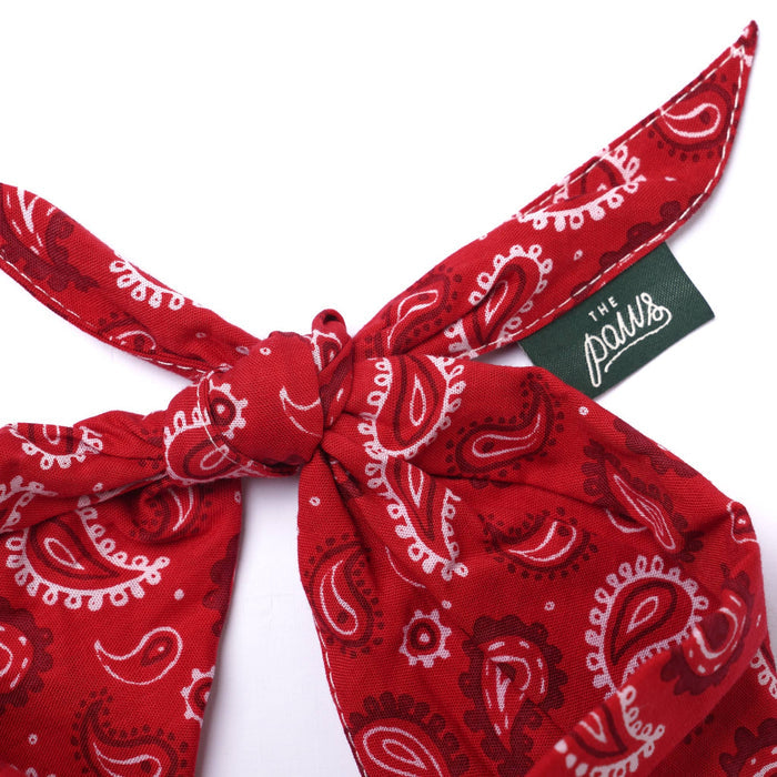 The Paws Dallas Dog Bandana – Red Paisley | 100% Cotton, Handmade in Bali
