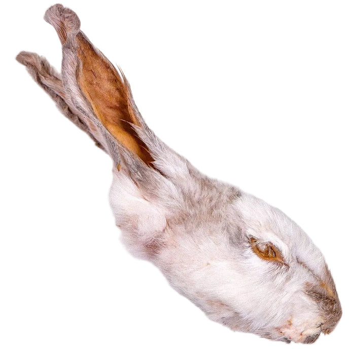 The Rabbit Tap - WS Rabbit Heads - Dog.Dog.Cat.
