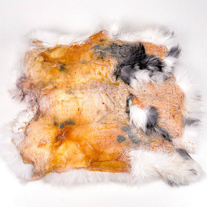 The Rabbit Tap - WS Rabbit Hide - Dog.Dog.Cat.