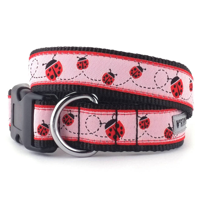 The Worthy Dog - Ladybug Collar