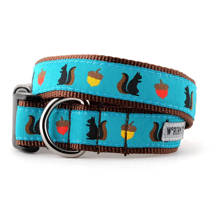 The Worthy Dog - Squirrelly Collar