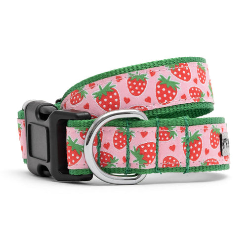 The Worthy Dog - Strawberries Collar