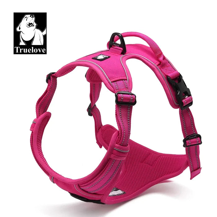 Fuschia / XS