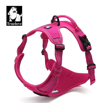 Fuschia / XS