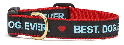 Pet Palette Distribution - Up Country Best.Dog.Ever. Dog Collar - Dog.Dog.Cat.