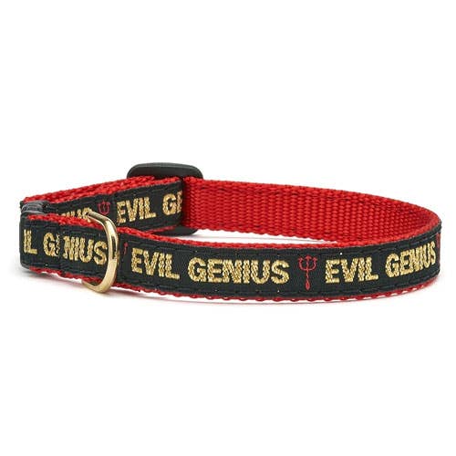 Up Country Evil Genius Cat Collar – Size 12" Breakaway Safety Clasp