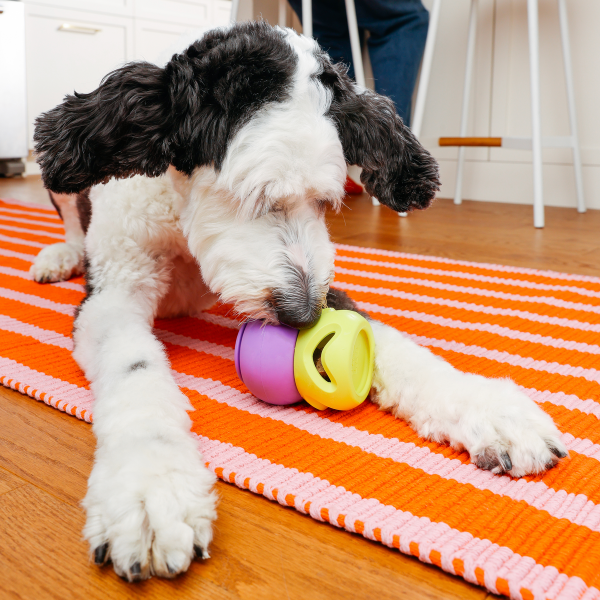 WAGLAB The Boomerang — Modular Treat Dispensing Dog Toy